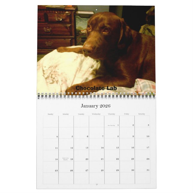 Calendário Labrador Retrievers (Jan 2026)