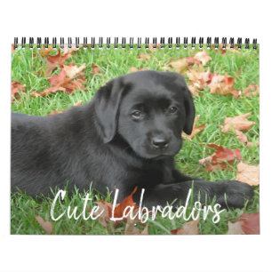Calendário Labradores Cujos Labradores - Cachorro-Vendedor Ne