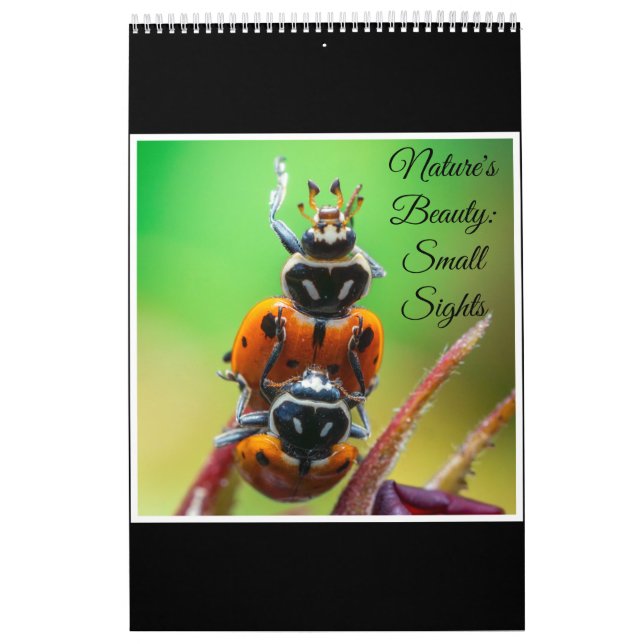 Calendário Ladybug Macro Photo Nature Wall Art Calendar 2026  (Capa)