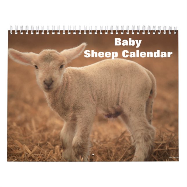 Calendário Lamb 2022 (Capa)