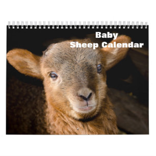 Calendário Lamb 2024 Baby Sheep