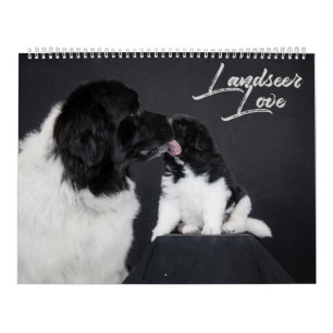 Calendário Landseer Love