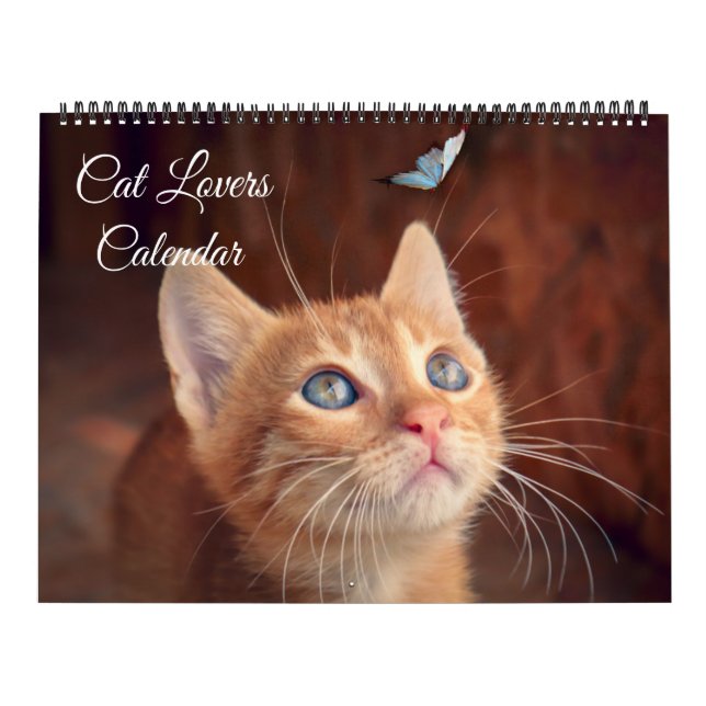 Calendário Large Size Cat Lovers Calendar (Capa)