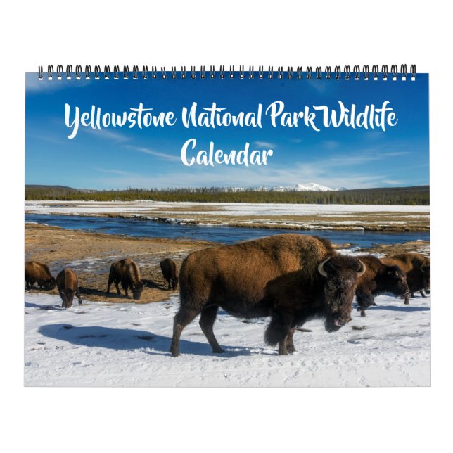 Calendário Large Size Yellowstone Calendar-Wildlife Calendar (Capa)