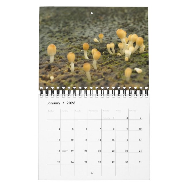 Calendário Las Encantadas (Jan 2026)