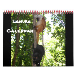 Calendário Lemur Wild Primate Bem-Vindo Para Casa Destino