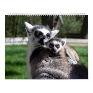 Calendário Lemurs de 2025