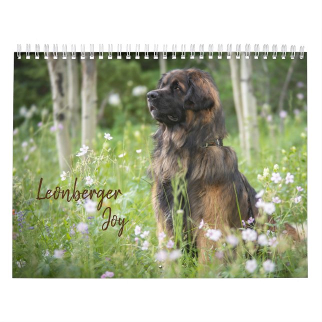 Calendário Leonberger Joy (Capa)