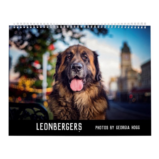 Calendário Leonbergers (Capa)