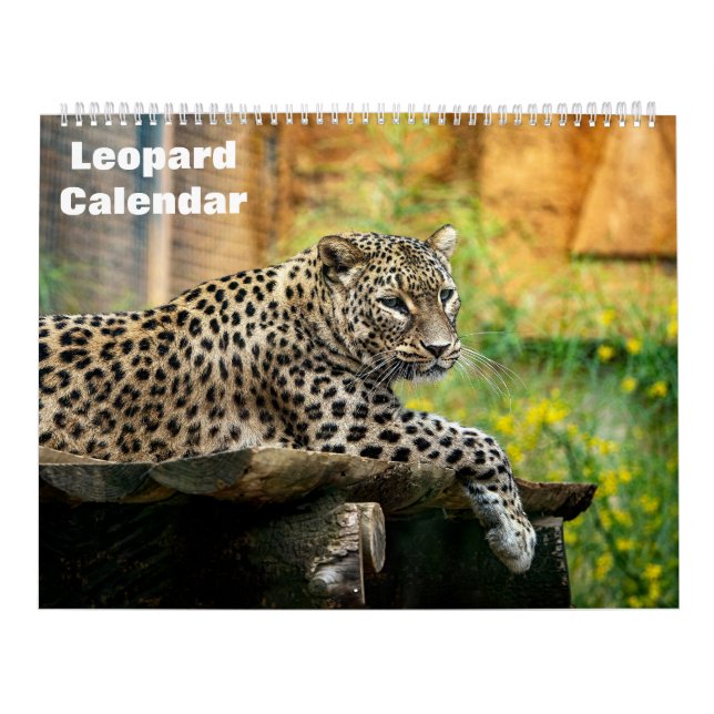 Calendário Leopard 2025 (Capa)