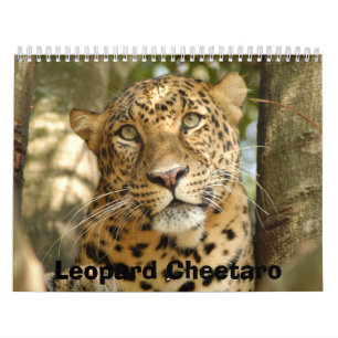 Calendário LeopardCheetaro013, leopardo Cheetaro