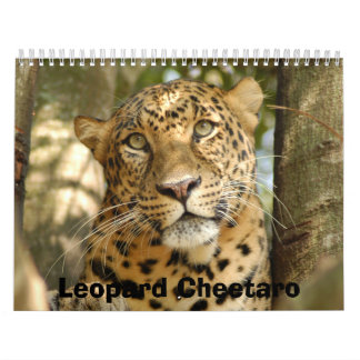 Calendário LeopardCheetaro013, leopardo Cheetaro