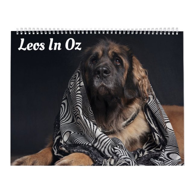 Calendário Leos In Oz (Capa)