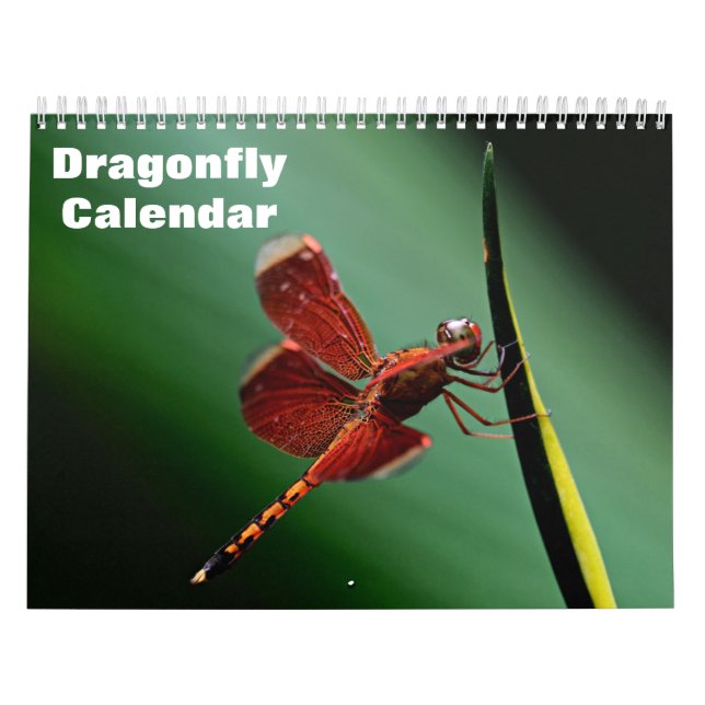 Calendário Libélula 2027 (Capa)