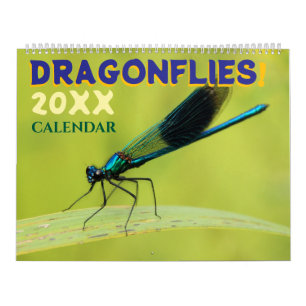 Calendário Libélulas na Parede da Natureza