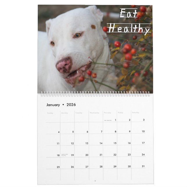 Calendário Lições da infância da vida por Kahuna Luna (Jan 2026)