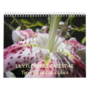 CALENDÁRIO LIES Calla Rosa Flores Lily Tiger Lily