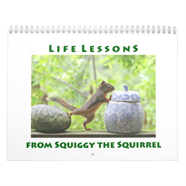 Calendário Life Lessons from Squiggy the Squirrel Calendar (Capa)