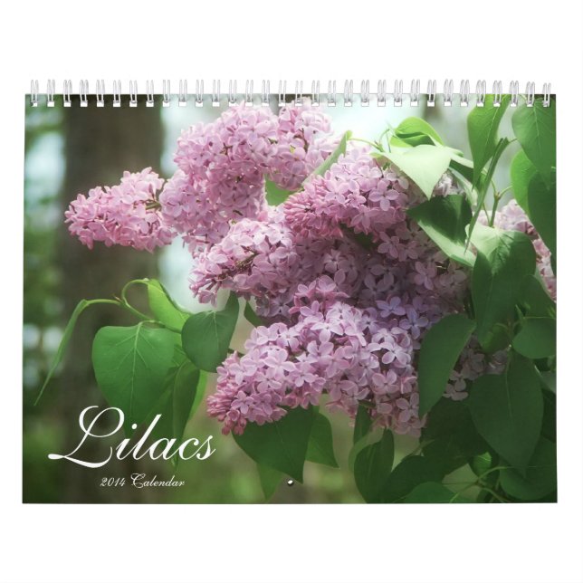 Calendário Lilacs 2014 (12 meses) (Capa)