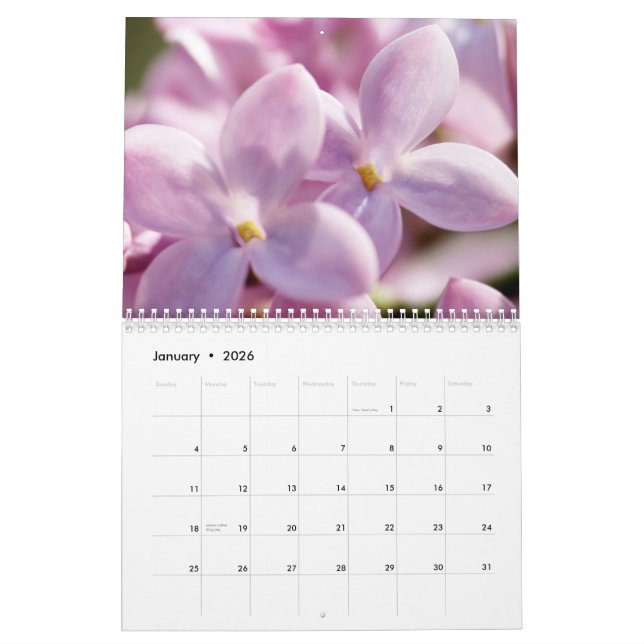Calendário Lilacs 2015 (12 meses) (Jan 2026)