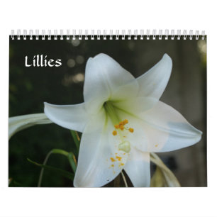 Calendário Lillies