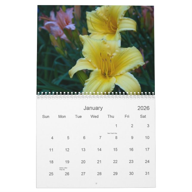 Calendário Lillies (Jan 2026)
