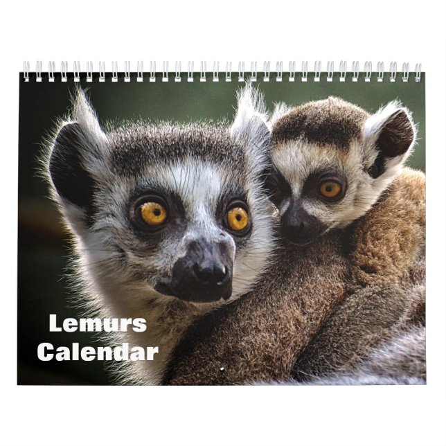 Calendário Limures 2025 (Capa)