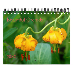 Calendário Linda Orquídea Fotografia