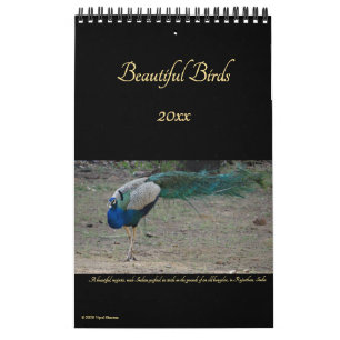 Calendário Lindas Aves Natureza Fotografia Aves 2026