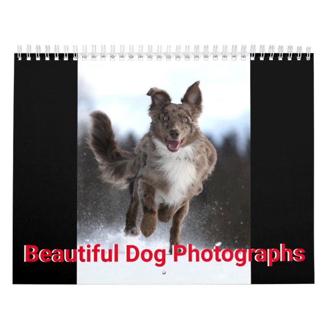 Calendário Lindas Fotos De Cachorro (Capa)
