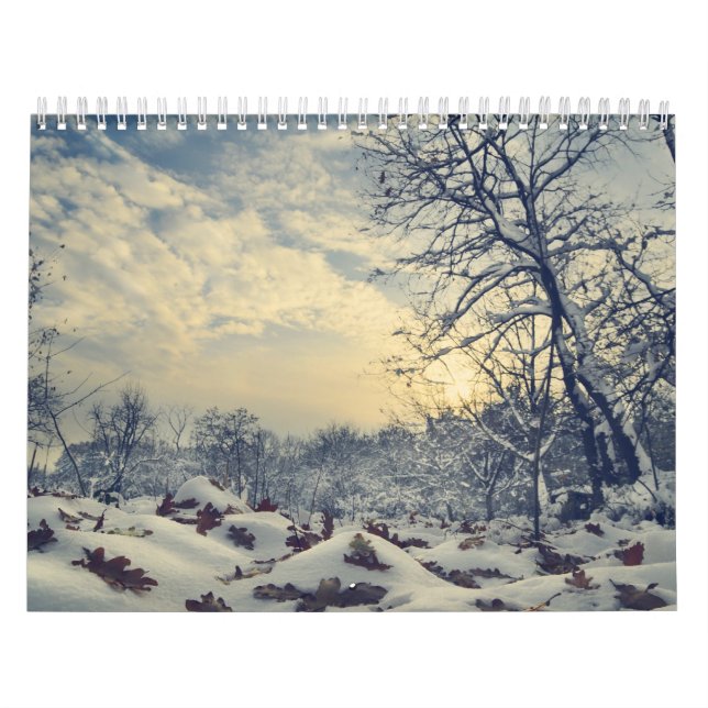 Calendário Lindas imagens sazonais (Capa)