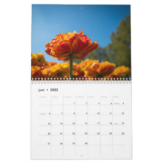 Calendário Lindas Tulipas Holandesas