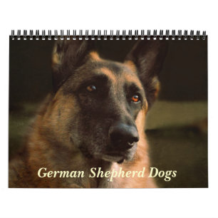Calendário lindo do cão de german shepherd