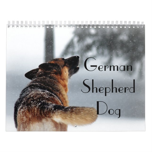 Calendário lindo do cão de german shepherd (Capa)