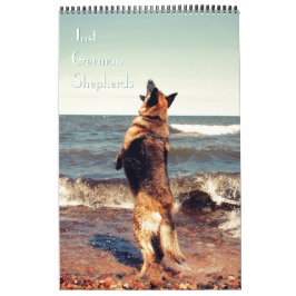Calendário lindo do german shepherd