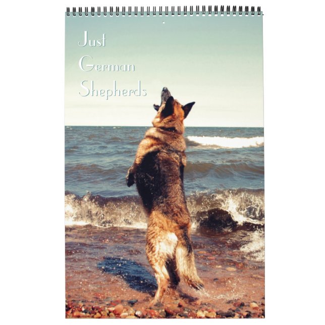 Calendário lindo do german shepherd (Capa)