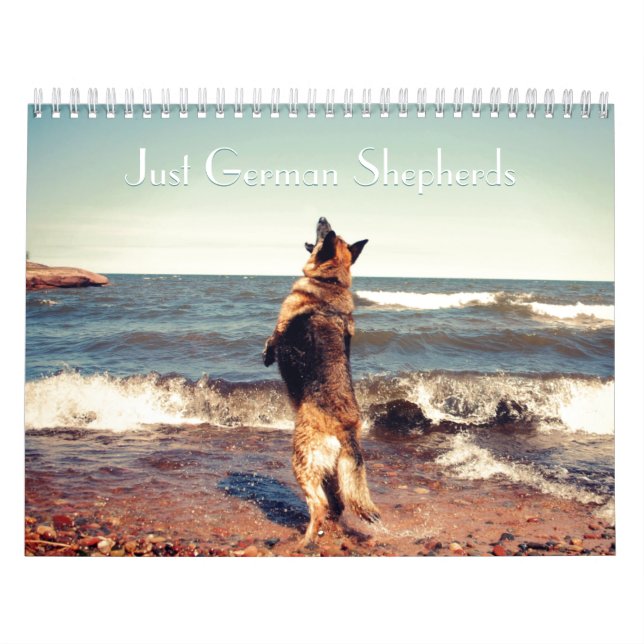 Calendário lindo do german shepherd (Capa)