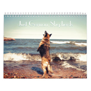 Calendário lindo do german shepherd
