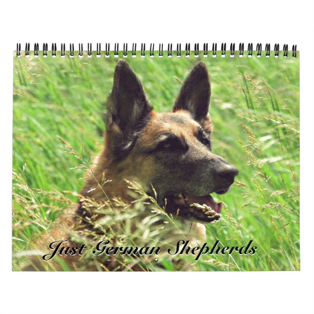 Calendário lindo do german shepherd (Capa)