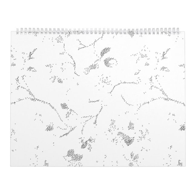 Calendário Língua, Nuvem de Cinzas (Capa)