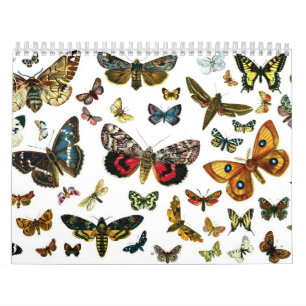 Calendário Litografia da borboleta e da traça