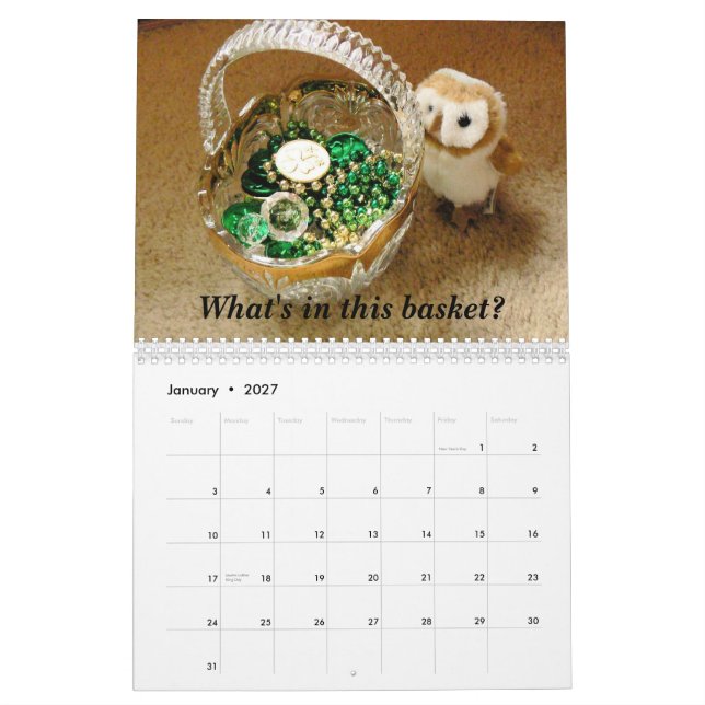 Calendário Livro de Hootin Annie (Jan 2027)