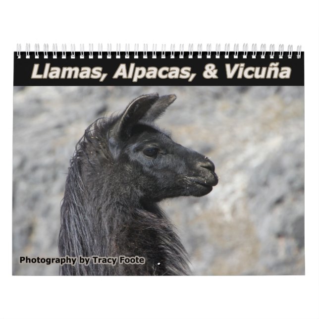 Calendário Llamas selvagens e Alpacas (Capa)