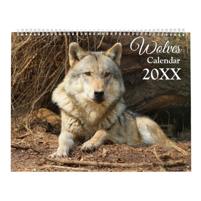 Calendário Lobos Lobo Vida Selvagem Parede Animal   (Capa)
