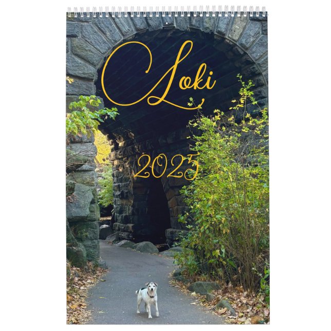 Calendário Loki 2025 (Capa)