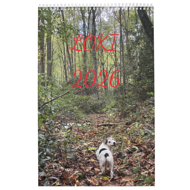 Calendário loki 2026 (Capa)