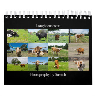 Calendário Longhorn Cattle Photography