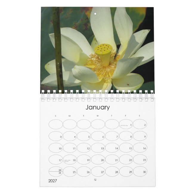 Calendário Lotus Flower 2008 (Jan 2027)
