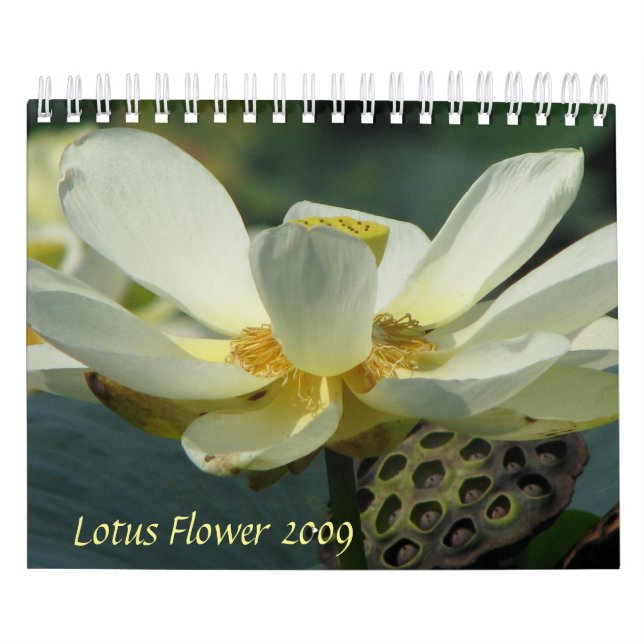 Calendário Lotus Flower 2009 (Capa)