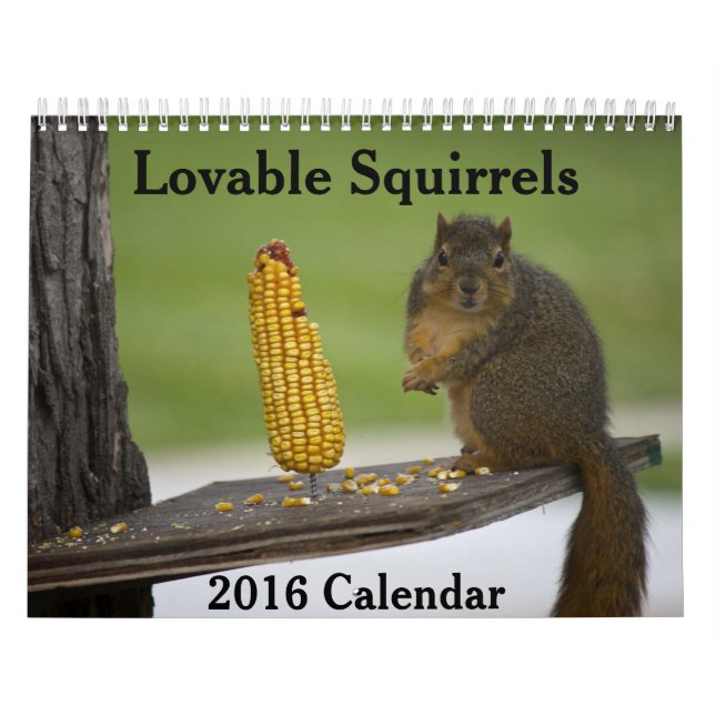 Calendário Lovable Squirrels 2016 (Capa)